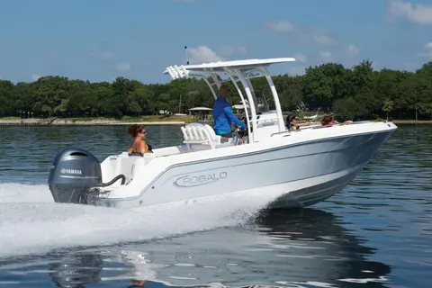 2026 Robalo R222 Explorer, photo 1 in Riviera Beach, FL
