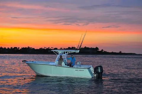 2027 Sea Born SX239 Offshore, photo 1 in Jupiter, FL