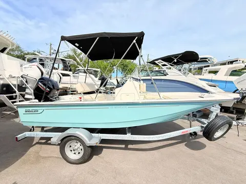 2026 Boston Whaler 150 Montauk, photo 1 in St Petersburg, FL