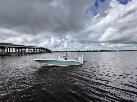 2026 Boston Whaler 250 Dauntless, photo 1 in Stuart, FL