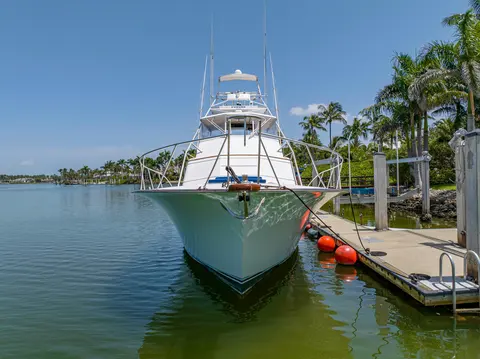 1990 Buddy Davis 61 Convertible, photo 1 in Naples, FL