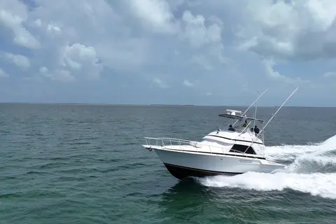 1989 Bertram 43 Convertible, photo 1 in Key Largo, FL