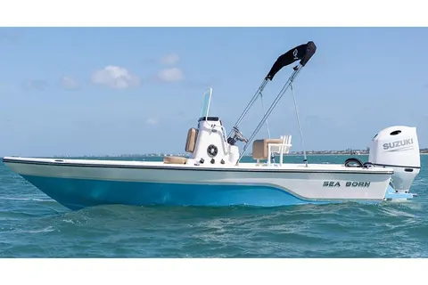 2027 Sea Born FX21 Bay, photo 1 in Jupiter, FL