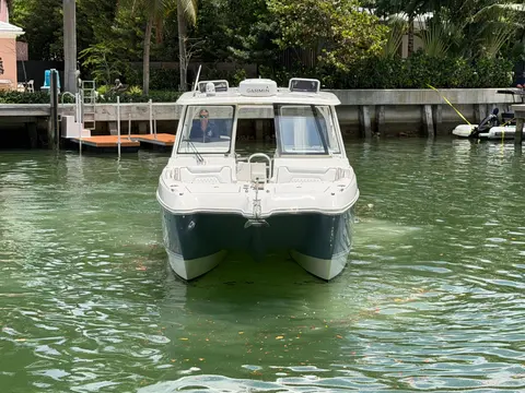 2021 World Cat 325 DC, photo 1 in Miami Beach, FL