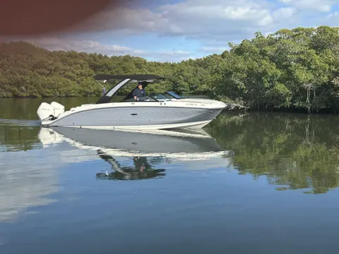 2024 Sea Ray 290 SD-OB, photo 1 in Clearwater, FL