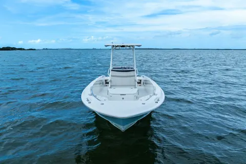 2024 Boston Whaler 250 Dauntless, photo 1 in St Petersburg, FL