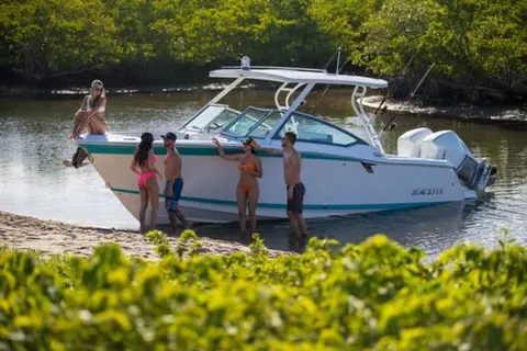 2026 Blackfin 272 DC, photo 1 in Bradenton, FL