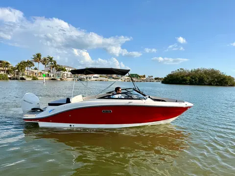 2026 Sea Ray SPX 210 Outboard, photo 1 in St Petersburg, FL