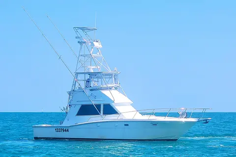 1988 Ronin 38 Convertible, photo 1 in Key Largo, FL