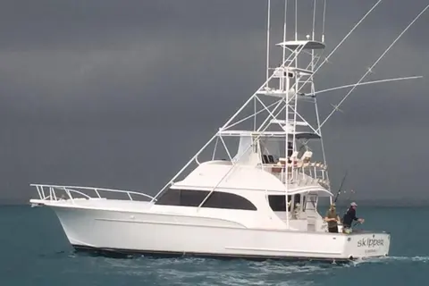 1990 Sunny Briggs Convertible with tuna tower, photo 1 in Islamorada, FL